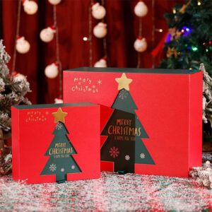 Glossy Mailer Boxes