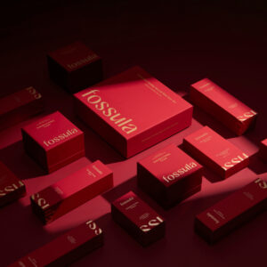 Luxury Packaging Boxes